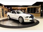Thumbnail Photo 10 for 2007 Ford Mustang Shelby GT500